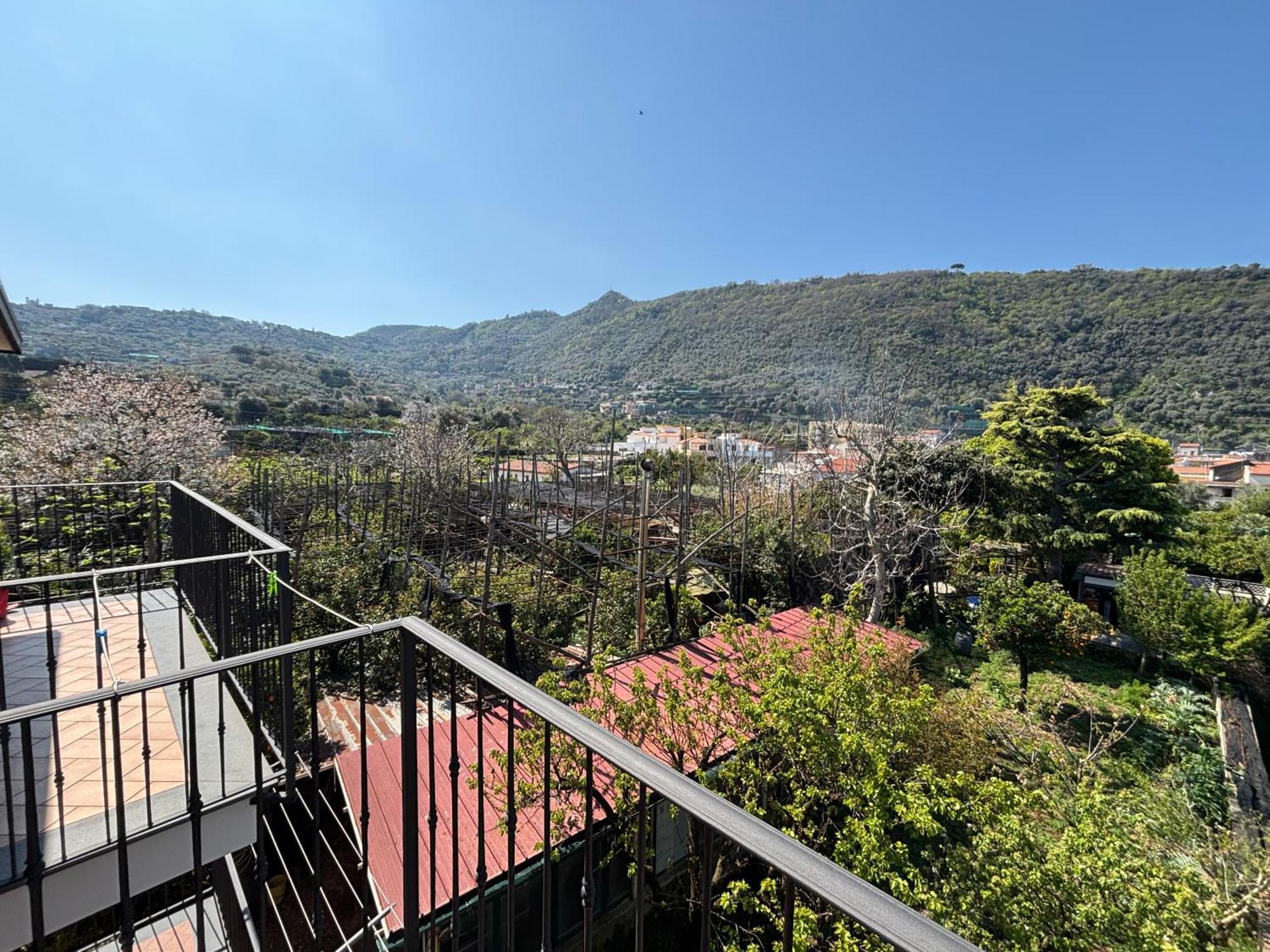 Intero Appartamento A Sant'Agnello , Le Ortensie Bagian luar foto